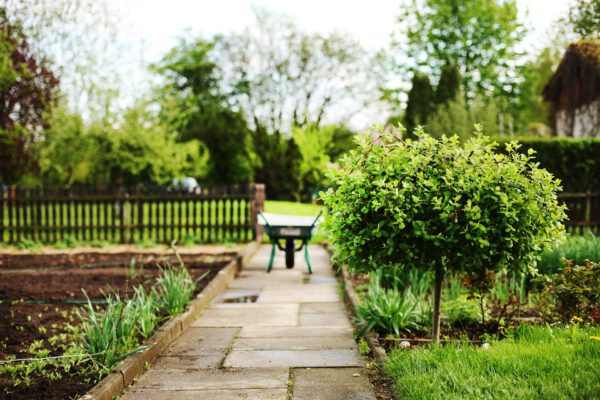 Nur die Harten kommen unter den Garten - Kochkurs und Mitspielkrimi, VHS Kaarst -Korschenbroich - Mi., 12.03.2025