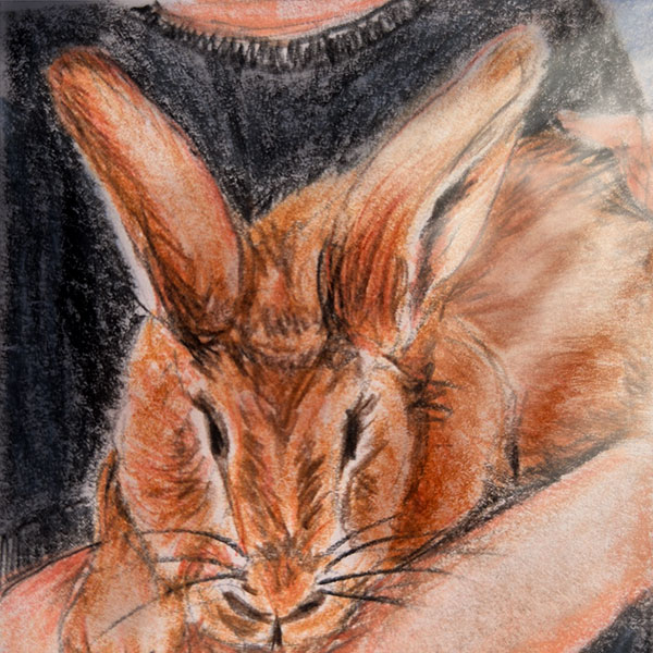 Kaninchen-Karl-web Karl Hoppler