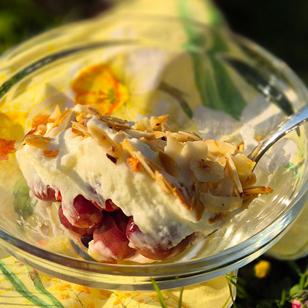 frissdichdumm „Friss-dich-dumm“-Nachtisch